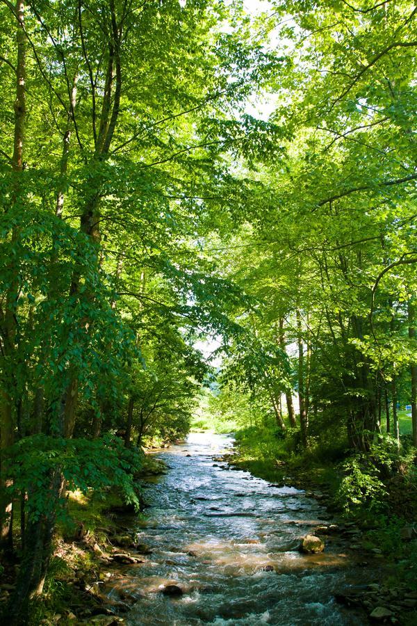 Valle Crucis Farm Eksteriør billede